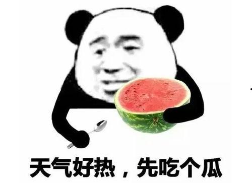 娱乐圈吃瓜白底图表情包,吃瓜群众的欢乐源泉