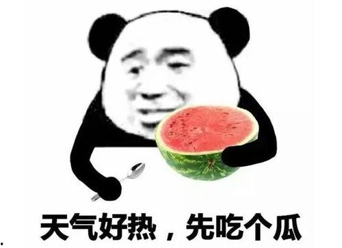 吃瓜表情包图片搞笑,吃瓜表情包里的欢乐盛宴